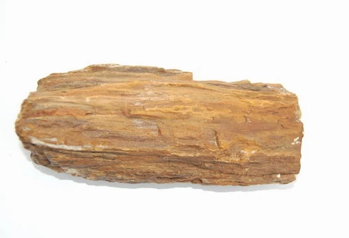 Steinholz Unterschiedliche Farb- Und Form-Spektren Per 1kg 3 Steinholz Unterschiedliche Farb- Und Form-Spektren Per 1kg