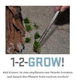 1-2-GROW! Kleiner Fluss-Hahnenfuß / Ranunculus Inundatus 13 1-2-GROW! Kleiner Fluss-Hahnenfuß / Ranunculus Inundatus -Pflanzen Serien Rabatt 22CTC T 1 9