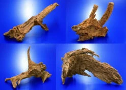 Mangroven-Wurzel Gr. XL / 40 - 50 Cm Mangrovenholz