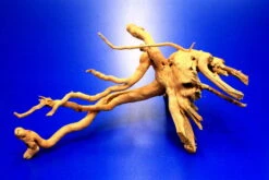 Moorwurzel/Moorkienholz, Gr. S Traumwurzel 20-30cm -Pflanzen Serien Rabatt 4080070AD 1 10