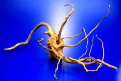 Moorwurzel/Moorkienholz, Gr. S Traumwurzel 20-30cm -Pflanzen Serien Rabatt 4080070AD 1 6