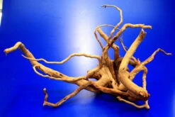 Moorwurzel/Moorkienholz, Gr. M Traumwurzel 30-40cm -Pflanzen Serien Rabatt 4080075AD 1 10