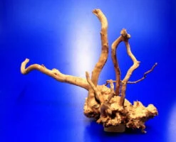 Moorwurzel/Moorkienholz, Gr. M Traumwurzel 30-40cm -Pflanzen Serien Rabatt 4080075AD 1 6