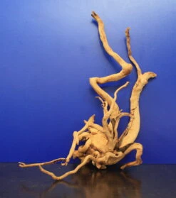 Moorwurzel/Moorkienholz, Gr. L Traumwurzel 40-50cm -Pflanzen Serien Rabatt 4080080AD 1 6