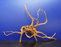 Moorwurzel/Moorkienholz, Gr. XL Traumwurzel 50-60cm -Pflanzen Serien Rabatt 4080085AD 1 4