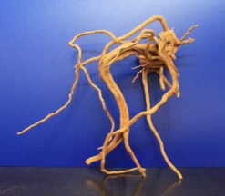 Moorwurzel/Moorkienholz, Gr. XL Traumwurzel 50-60cm -Pflanzen Serien Rabatt 4080085AD 1 6