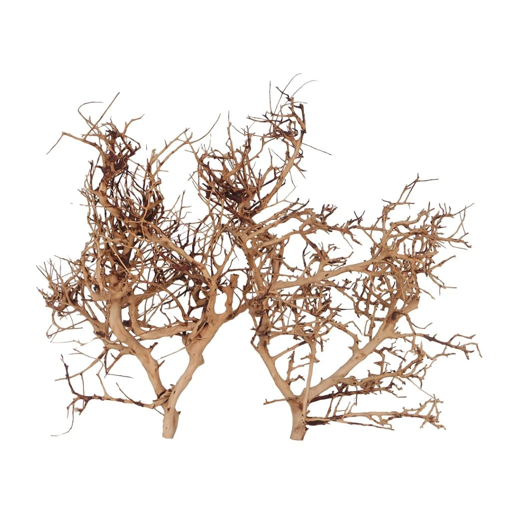 Thailand Zweig / Wurzel - M - 25-35cm 3 Thailand Zweig / Wurzel - M - 25-35cm