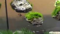 Schwebende Steine Größe: M / Floating Stone 18-24cm