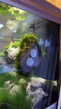 Rückwand Stein Größe: M / Wall Stone 18-24cm