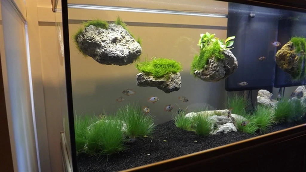 Rückwand Stein Größe: S / Wall Stone 10-17cm 4 Rückwand Stein Größe: S / Wall Stone 10-17cm – Bild 2