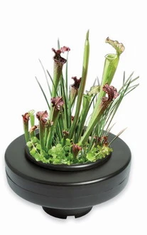 Schwimmende Pflanzschale - Pflanzkorb Ca. ø 23 Cm, Schwarz 3 Schwimmende Pflanzschale - Pflanzkorb Ca. ø 23 Cm, Schwarz