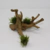 Christmas Moss-Spiderwood / Künstliche Nano-Moorwurzel Mit Vesicularia Dubyana 'Christmas' -Pflanzen Serien Rabatt 87871 5wf 1 1