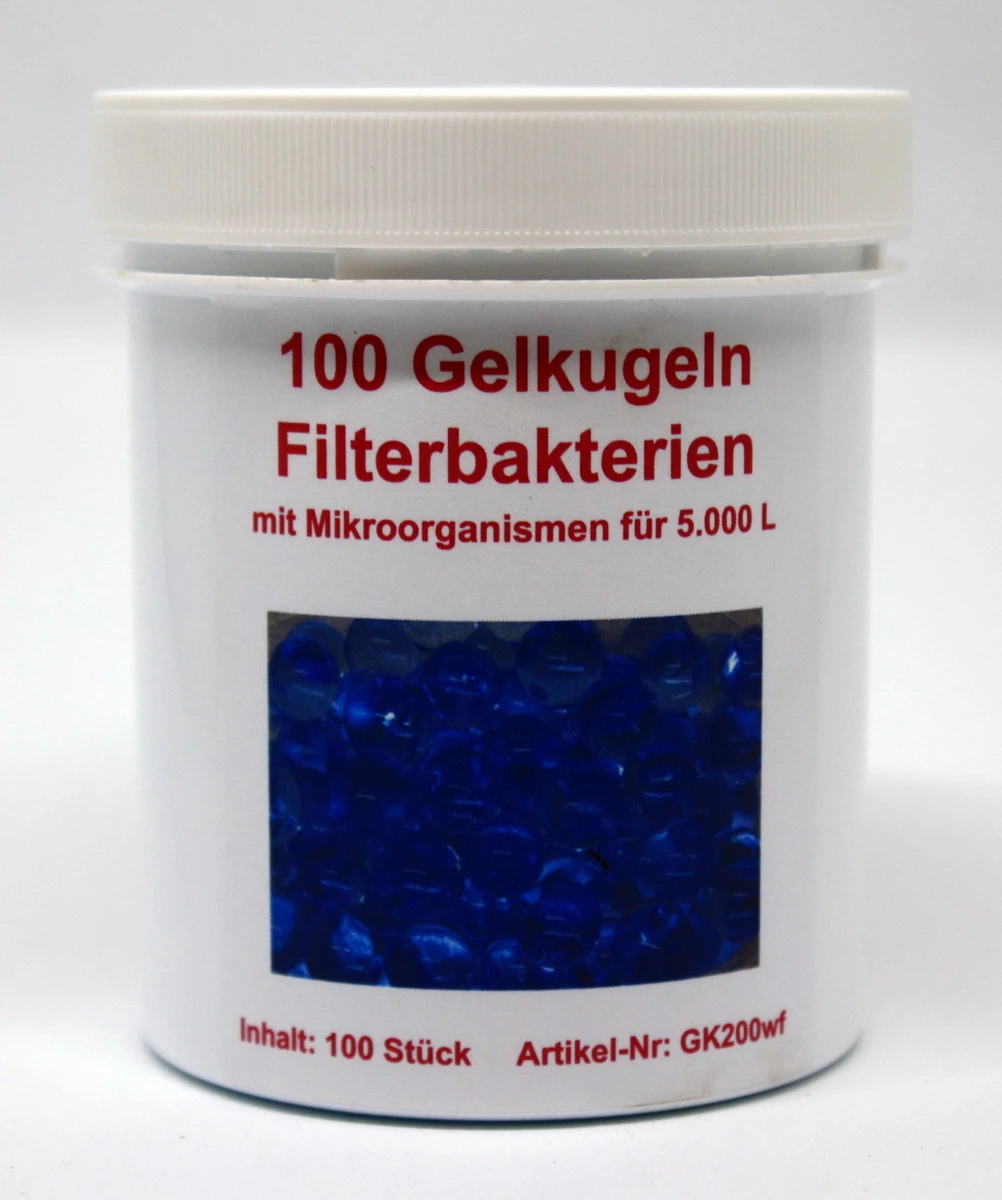 100 Filterbakterien Gelkugeln Mit Mikroorganismen Für 5.000 Liter Aquarium-Wasser 3 100 Filterbakterien Gelkugeln Mit Mikroorganismen Für 5.000 Liter Aquarium-Wasser – Bild 2