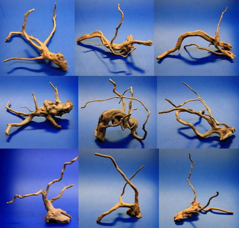 Nano Moorwurzel/Moorkienholz, Traumwurzel Für Den Garnelen Cube 3 Nano Moorwurzel/Moorkienholz, Traumwurzel Für Den Garnelen Cube