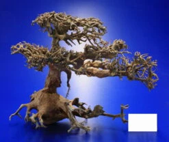 Aqua-Bonsai Wurzel Large - Aquascaping Drachenbaum Traumwurzel Groß 11 Aqua-Bonsai Wurzel Large - Aquascaping Drachenbaum Traumwurzel Groß -Pflanzen Serien Rabatt PH065 AO 1 7 1