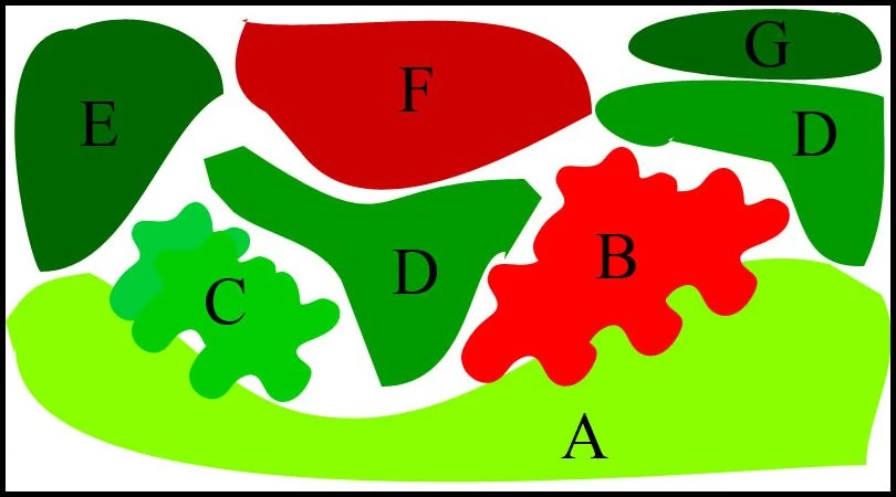 Unterwasser-Landschaft Lotuswelt Für Ein 400 Liter Aquarium 4 Unterwasser-Landschaft Lotuswelt Für Ein 400 Liter Aquarium – Bild 2
