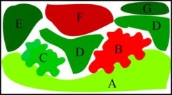 Unterwasser-Landschaft Lotuswelt Für Ein 300 Liter Aquarium 5 Unterwasser-Landschaft Lotuswelt Für Ein 300 Liter Aquarium -Pflanzen Serien Rabatt S2 060wf 1 2