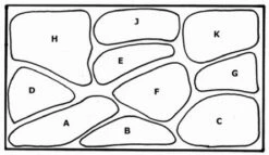 Unterwasser-Landschaft Holland-Aquarium Für Ein 160 Liter Aquarium -Pflanzen Serien Rabatt S4 200wf 1 2 1