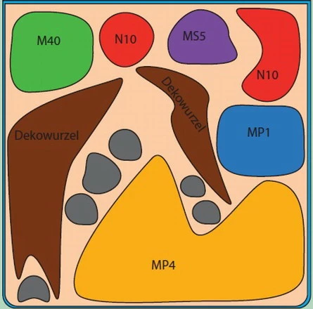 Riccardia Cube 30 Liter - Pflanzenlandschaft Für Einen 30 Liter Nano Cube 4 Riccardia Cube 30 Liter - Pflanzenlandschaft Für Einen 30 Liter Nano Cube – Bild 2