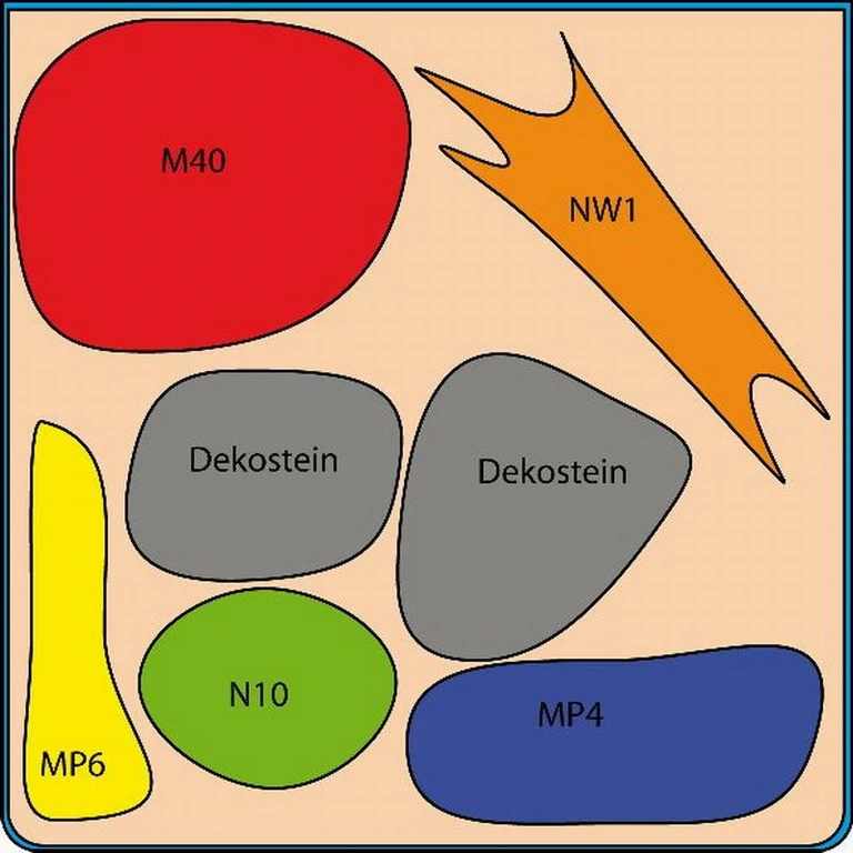 In-Vitro Moos Cube 20 Liter - Pflanzenlandschaft Für Einen 20 Liter Nano Cube 4 In-Vitro Moos Cube 20 Liter - Pflanzenlandschaft Für Einen 20 Liter Nano Cube – Bild 2