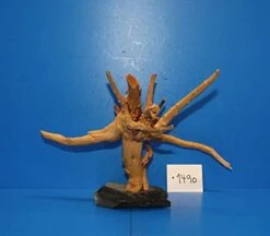 XL Rote Moorwurzel / Moorkienholz 28x19x23 Traumwurzel #1490 Auf Schiefer