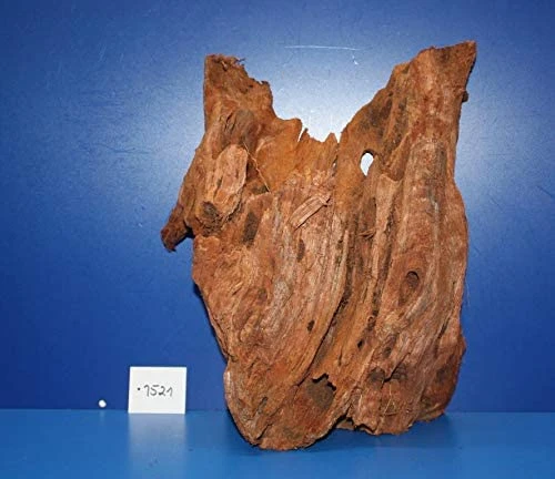 XL Mangroven-Wurzel 30x35x17 Unikat - Traumwurzel #1521 3 XL Mangroven-Wurzel 30x35x17 Unikat - Traumwurzel #1521