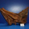 XL Mangroven-Wurzel 46x29x25 Unikat - Traumwurzel #1539 -Pflanzen Serien Rabatt W1539 1