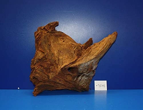 XL Mangroven-Wurzel 38x31x15 Unikat - Traumwurzel #1548 3 XL Mangroven-Wurzel 38x31x15 Unikat - Traumwurzel #1548