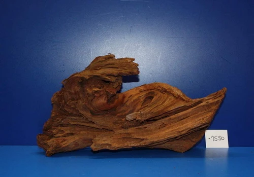 XL Mangroven-Wurzel 40x23x17 Unikat - Traumwurzel #1550 3 XL Mangroven-Wurzel 40x23x17 Unikat - Traumwurzel #1550