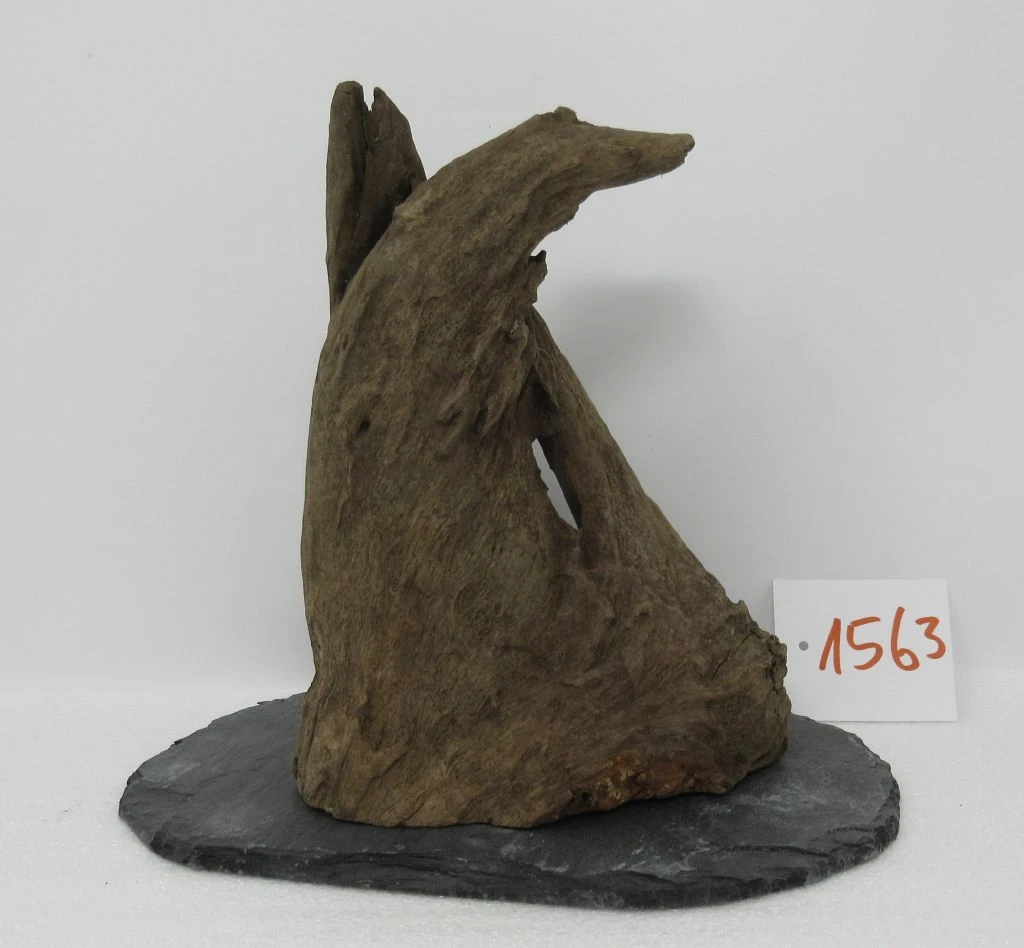 XL Scaper Wurzel 19x18x15 Traumwurzel #1563 Auf Schiefer 3 XL Scaper Wurzel 19x18x15 Traumwurzel #1563 Auf Schiefer