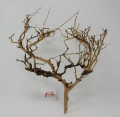 XL Thailand Zweig / Wurzel 30x31x18 Traumwurzel #1576