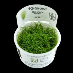 1-2-GROW! Nadelsimse / Eleocharis Acicularis Von TROPICA 5 1-2-GROW! Nadelsimse / Eleocharis Acicularis Von TROPICA -Pflanzen Serien Rabatt oD133TC T 1 2