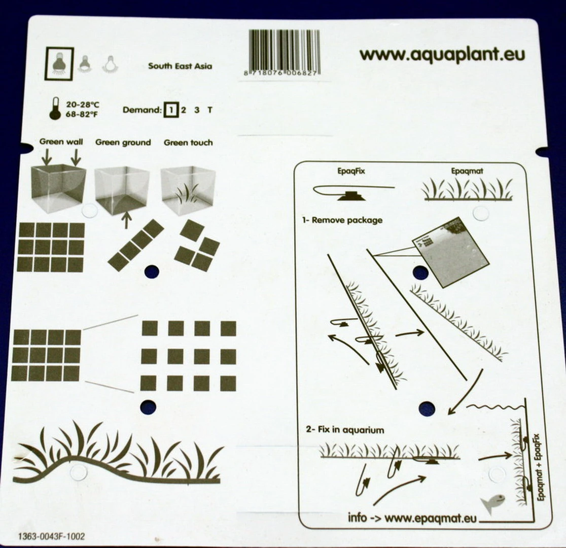 Green-Wall XL Gekräuseltes Javafarn / Microsorum Pt. Windelov Auf Matte Ca. 170x140 Mm 7 Green-Wall XL Gekräuseltes Javafarn / Microsorum Pt. Windelov Auf Matte Ca. 170x140 Mm – Bild 5