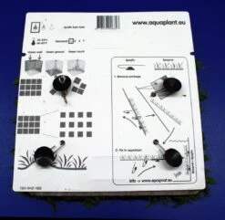 Green-Wall XL Gekräuseltes Javafarn / Microsorum Pt. Windelov Auf Matte Ca. 170x140 Mm 9 Green-Wall XL Gekräuseltes Javafarn / Microsorum Pt. Windelov Auf Matte Ca. 170x140 Mm -Pflanzen Serien Rabatt oM43W SG 1 6
